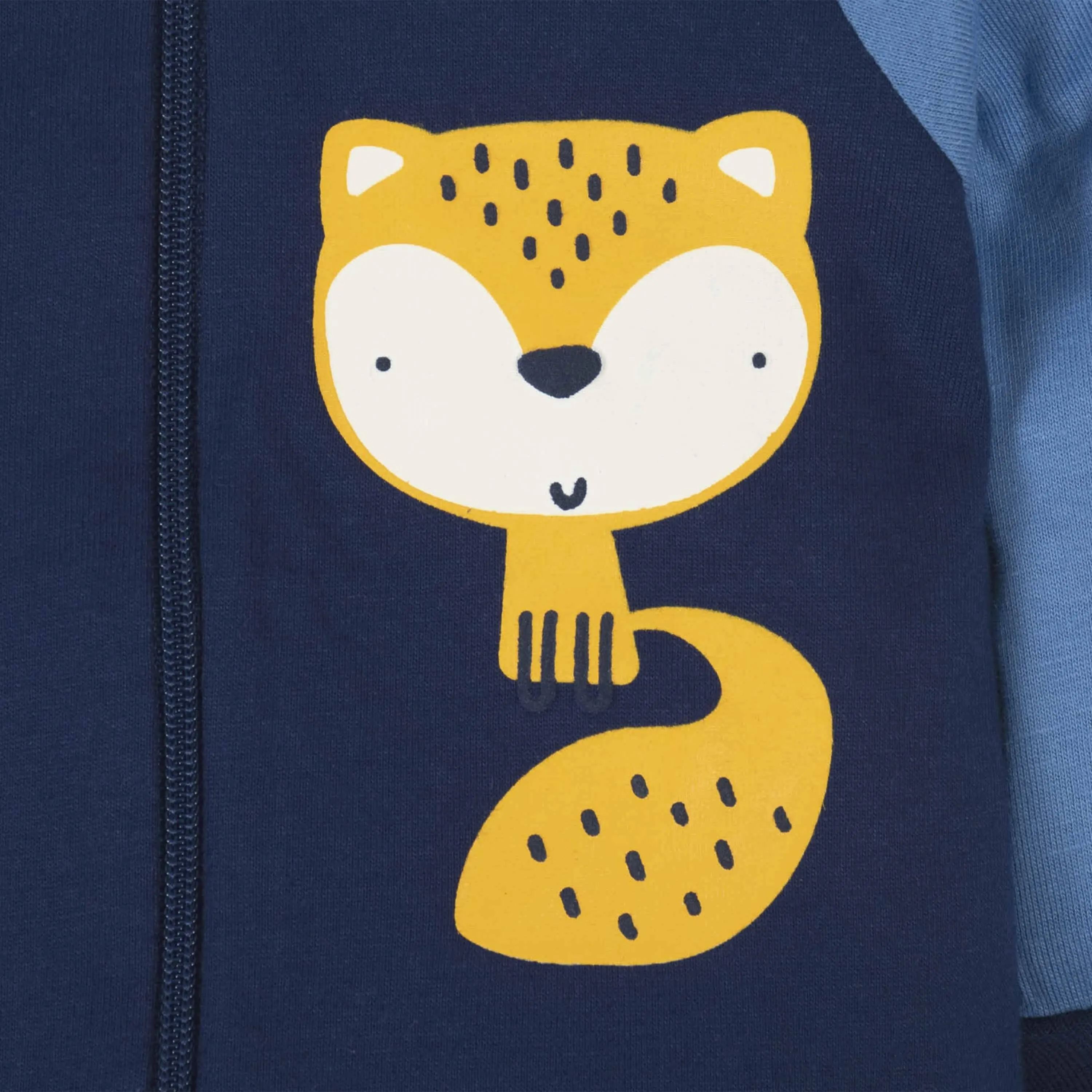 Baby Boys Fox Sleep 'N Play