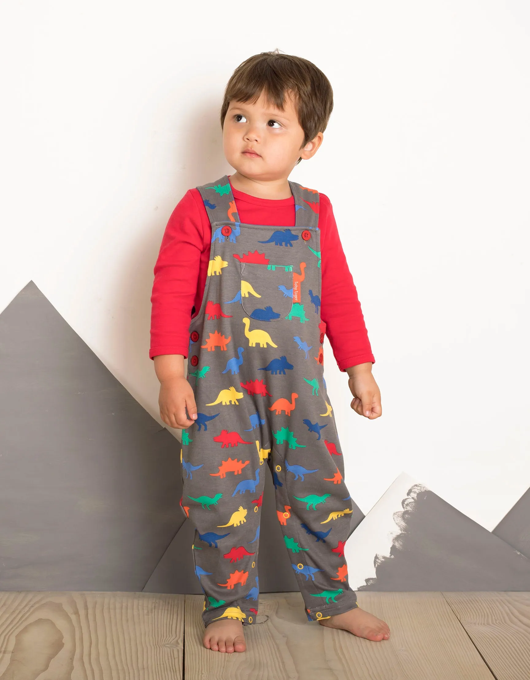 Dinosaur Print Dungarees