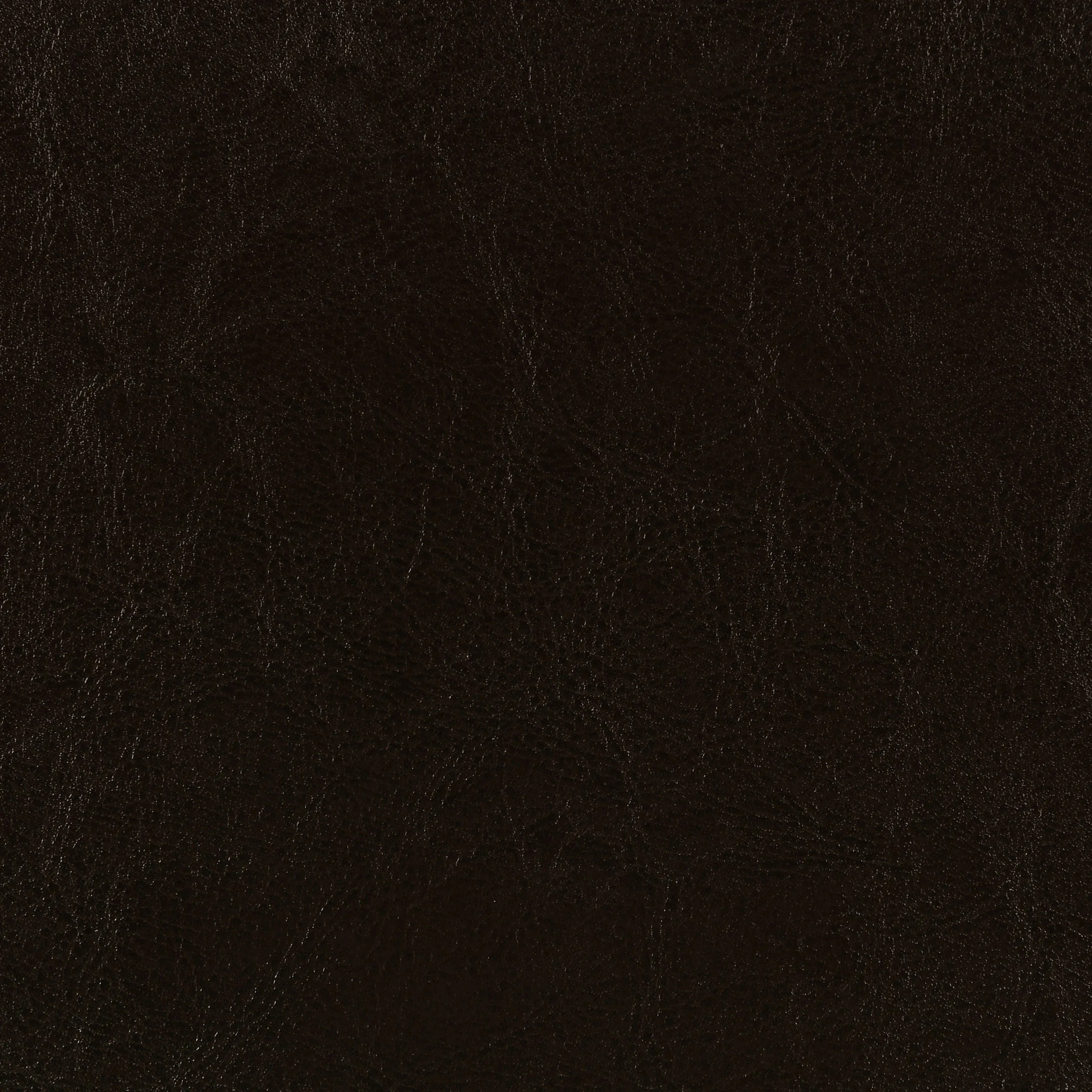 Dorian Faux Leather Upholstered Eastern King Panel Bed Brown