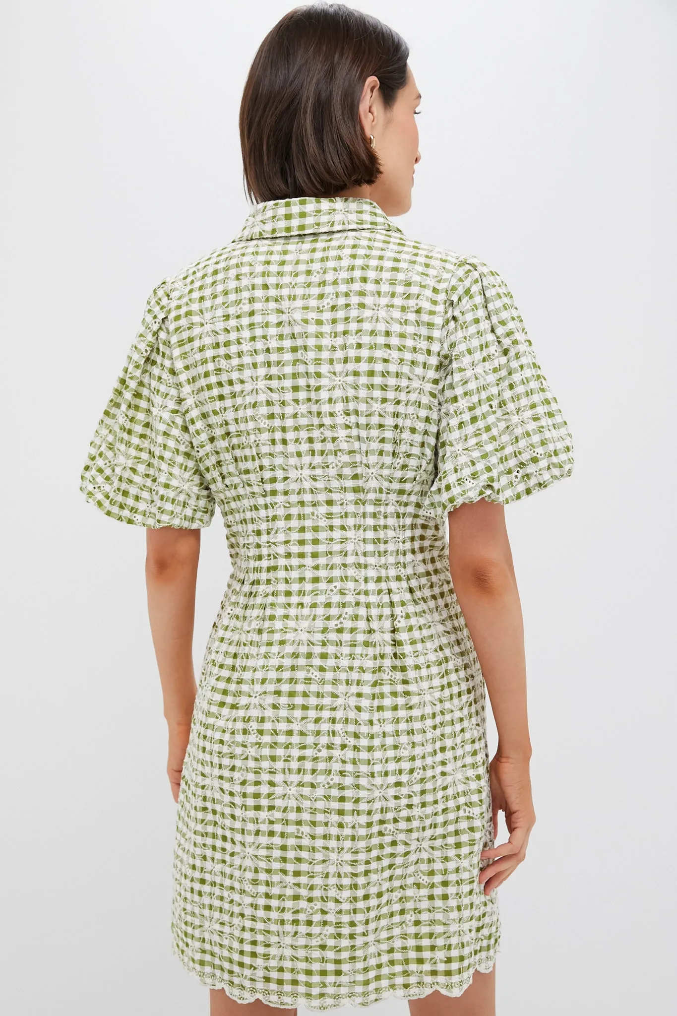 Embroidered Floral Green Gingham Mini Delaney Dress