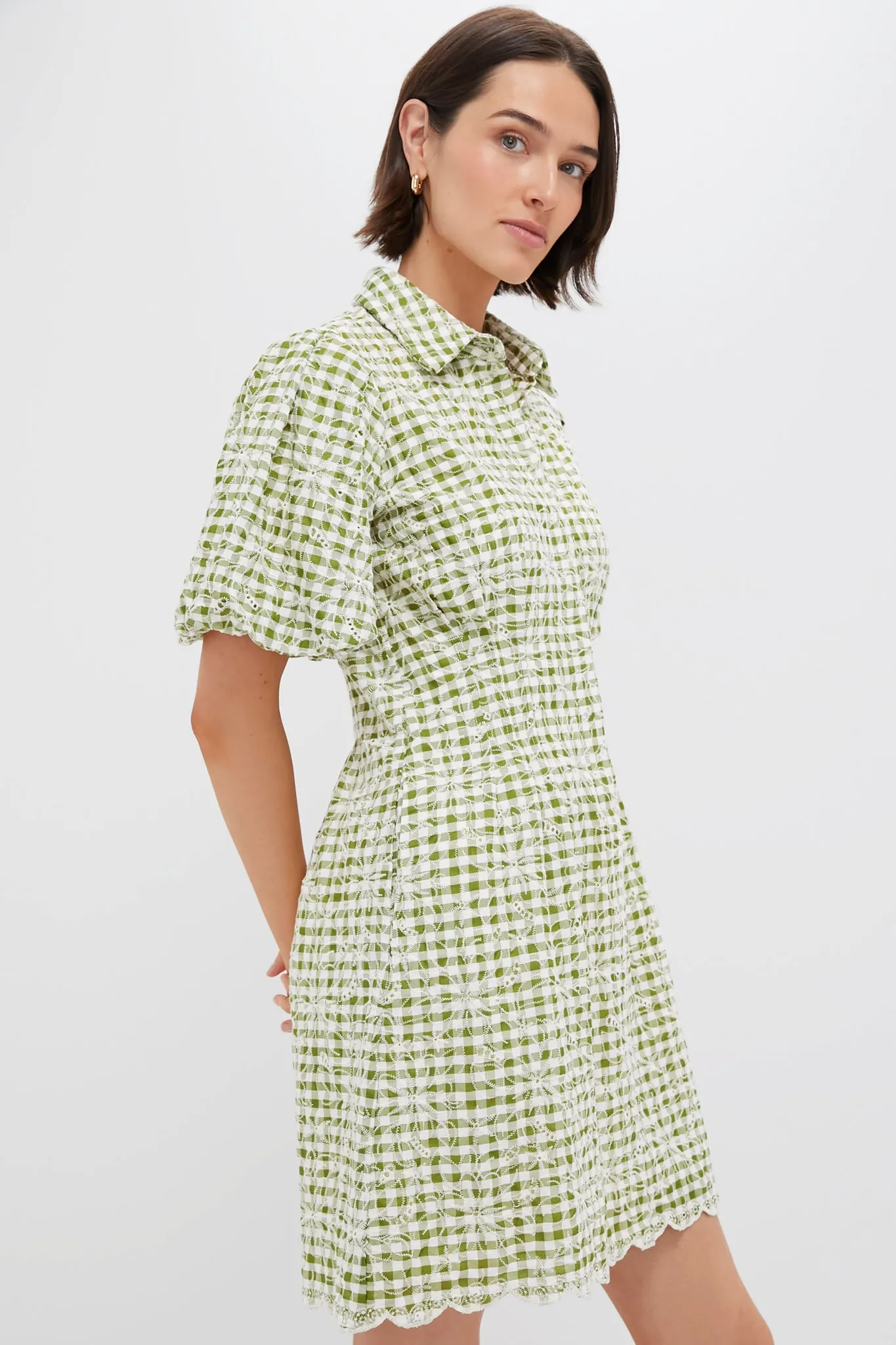 Embroidered Floral Green Gingham Mini Delaney Dress