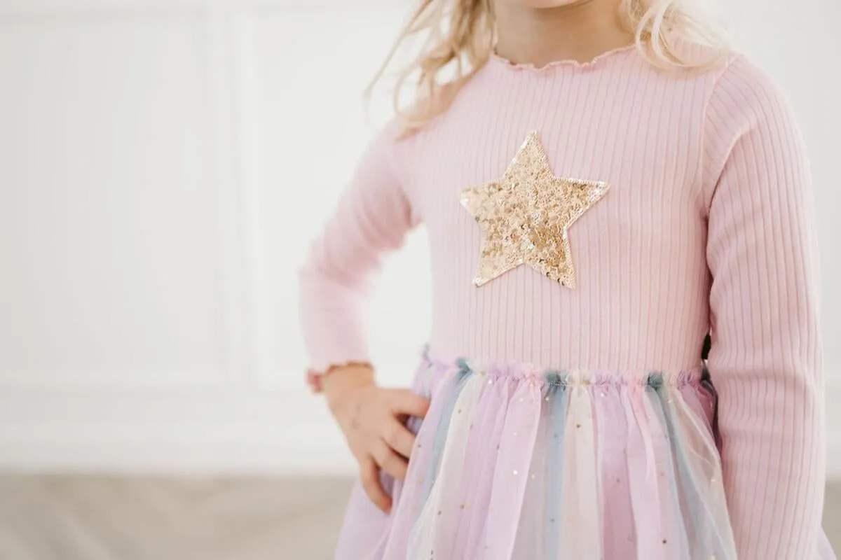 Petite Hailey Ombre Star Tutu L/S Dress - Pink