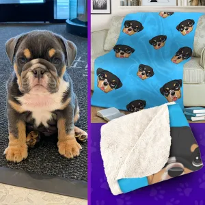 Pettoonies Custom Blanket