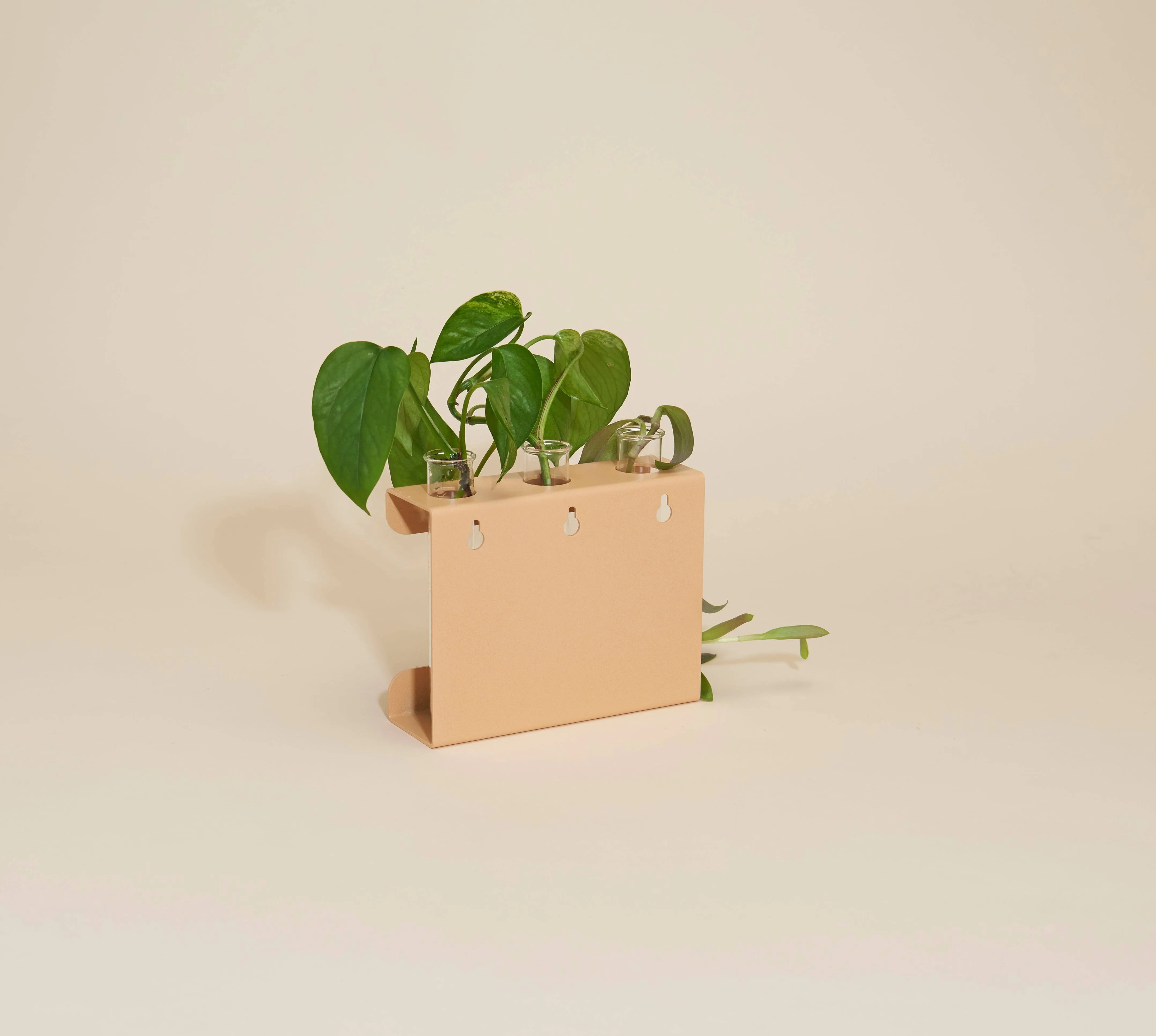 Propagation Station