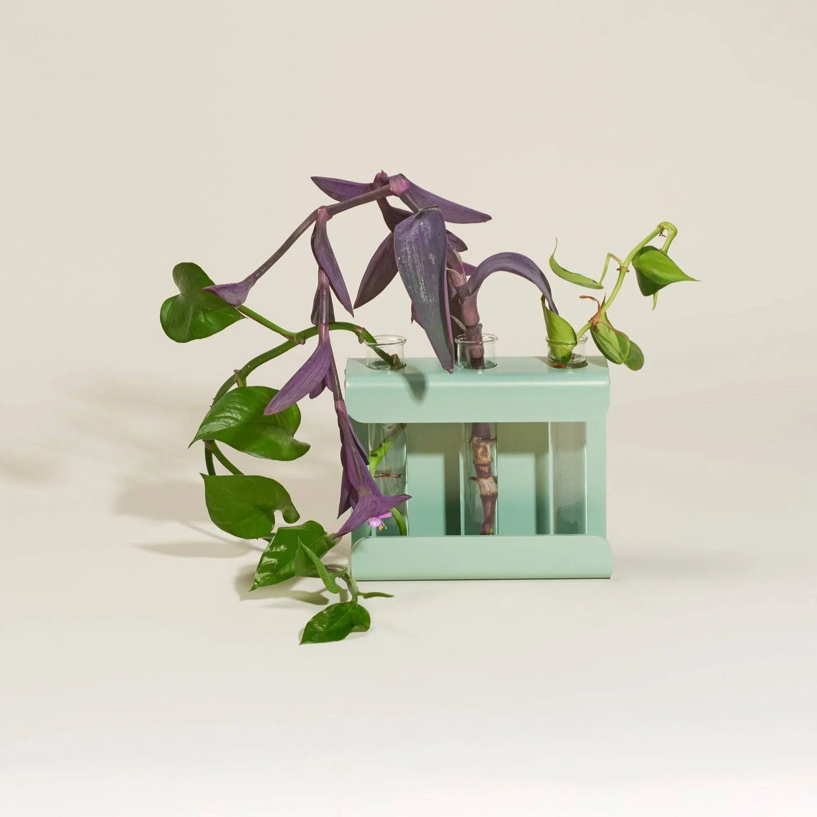 Propagation Station