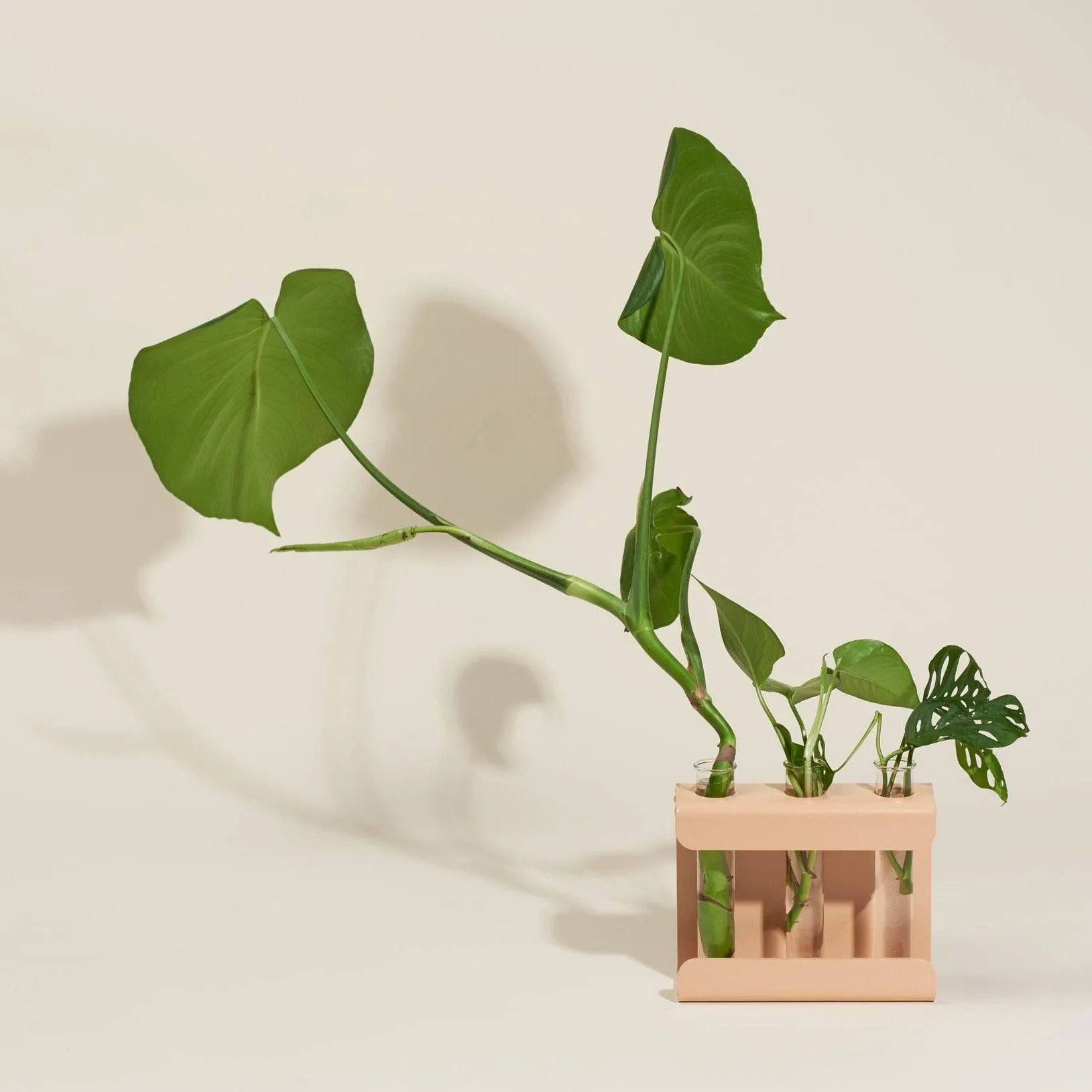 Propagation Station