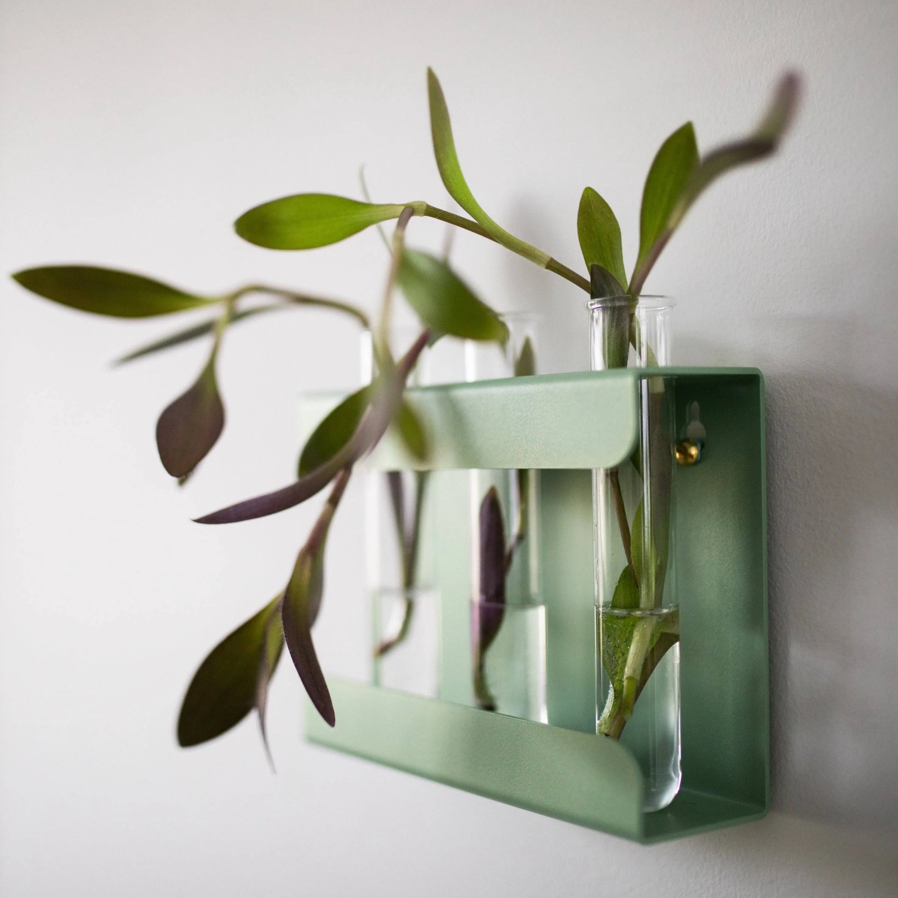 Propagation Station