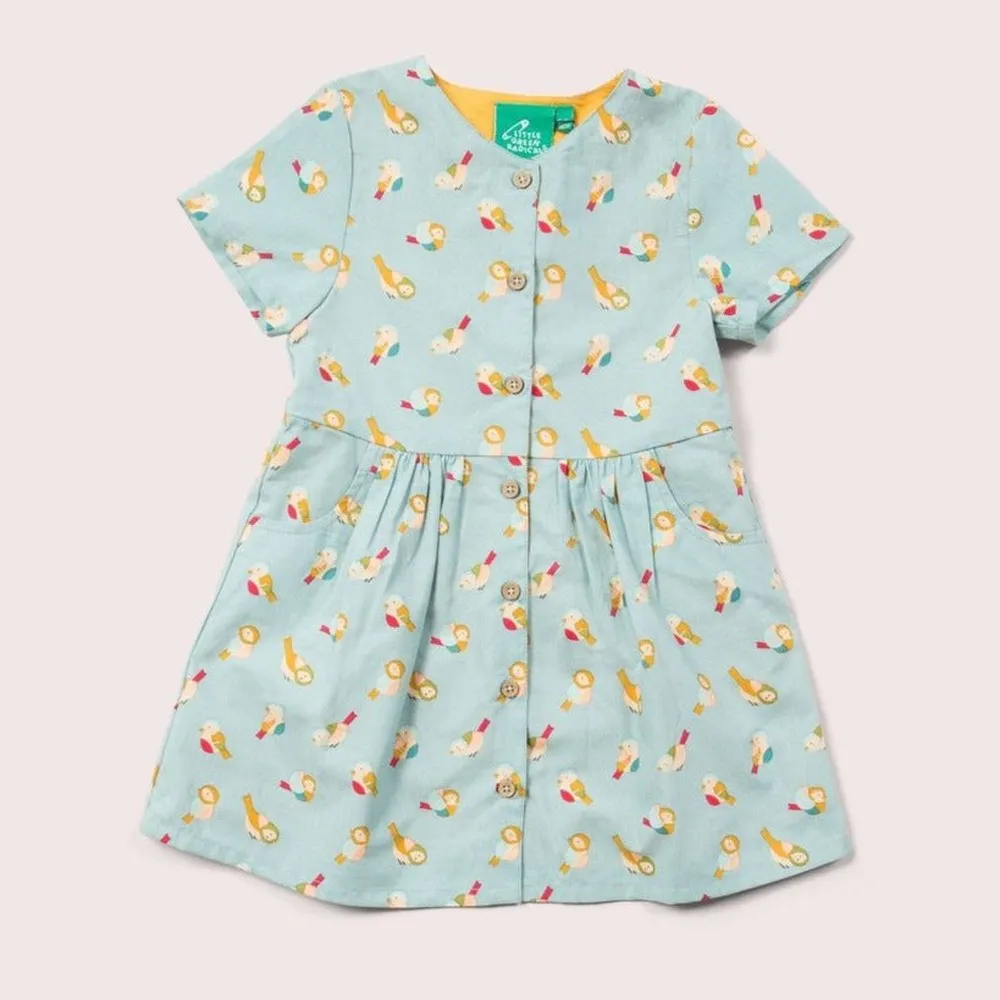 Rainbow Birds Button Through Dress