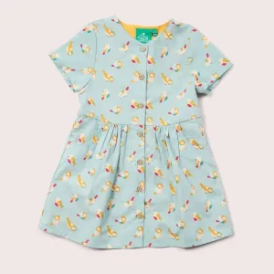 Rainbow Birds Button Through Dress