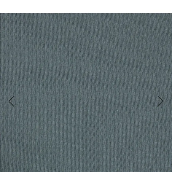 Skims Cotton Rib Boxer kyanite NWT