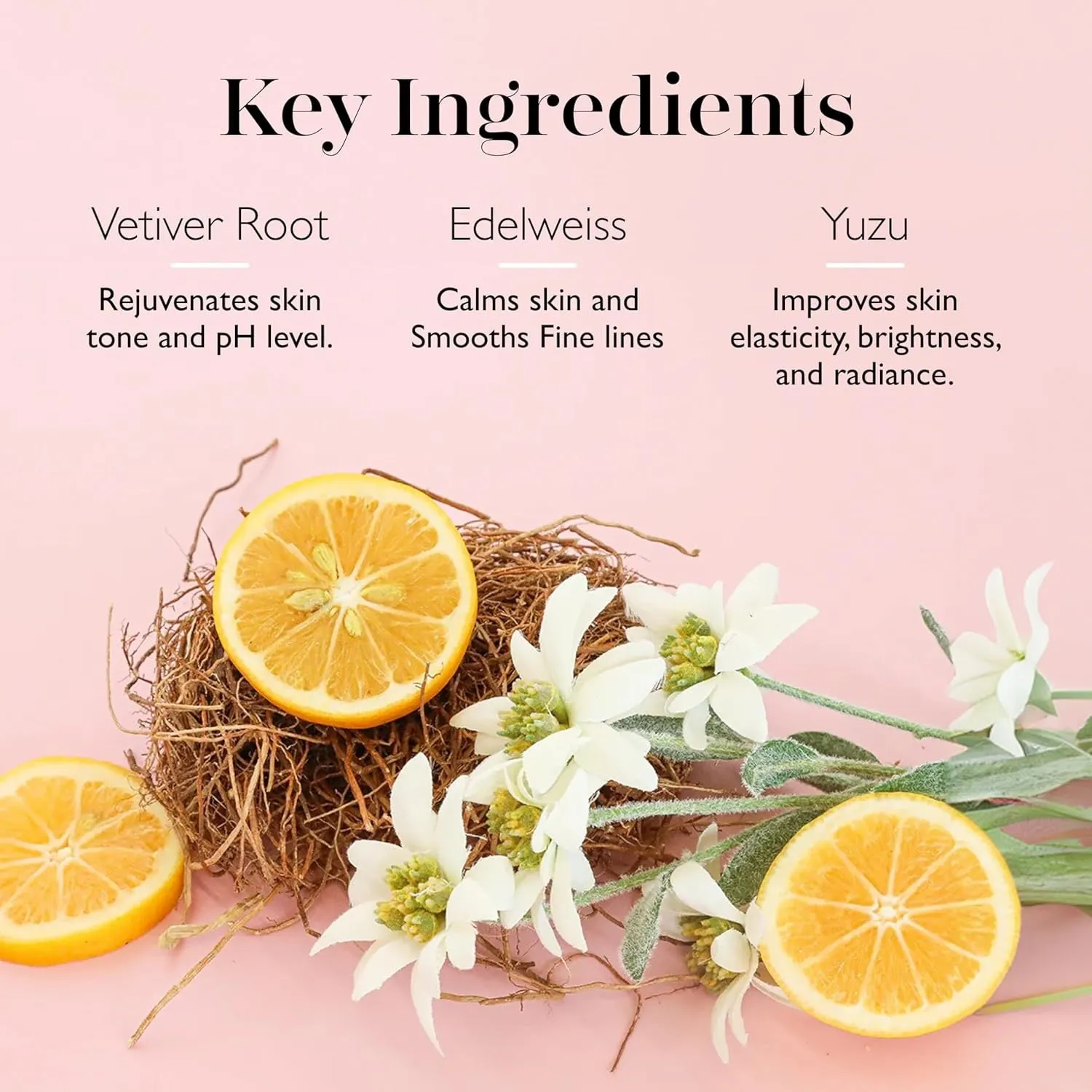 Spongelle Coconut Verbena Pedi Buffer