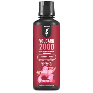 Volcarn 2000