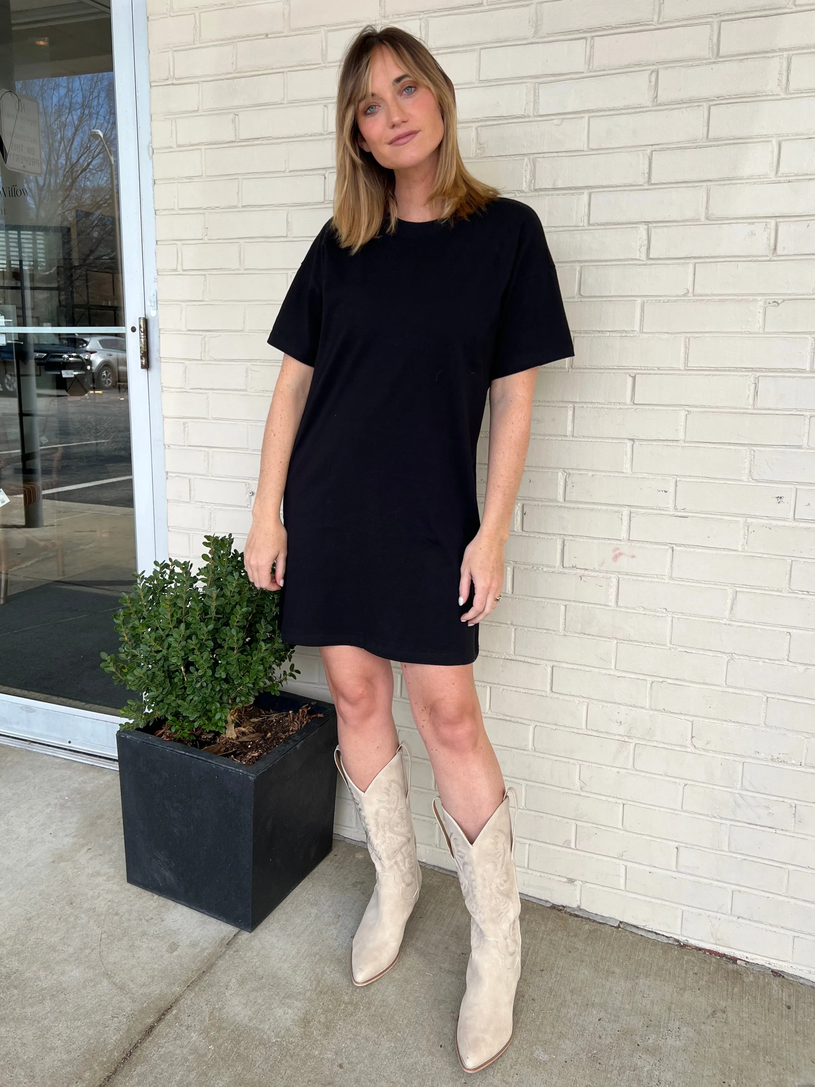 [Z Supply] Sway Short Sleeve Mini Dress